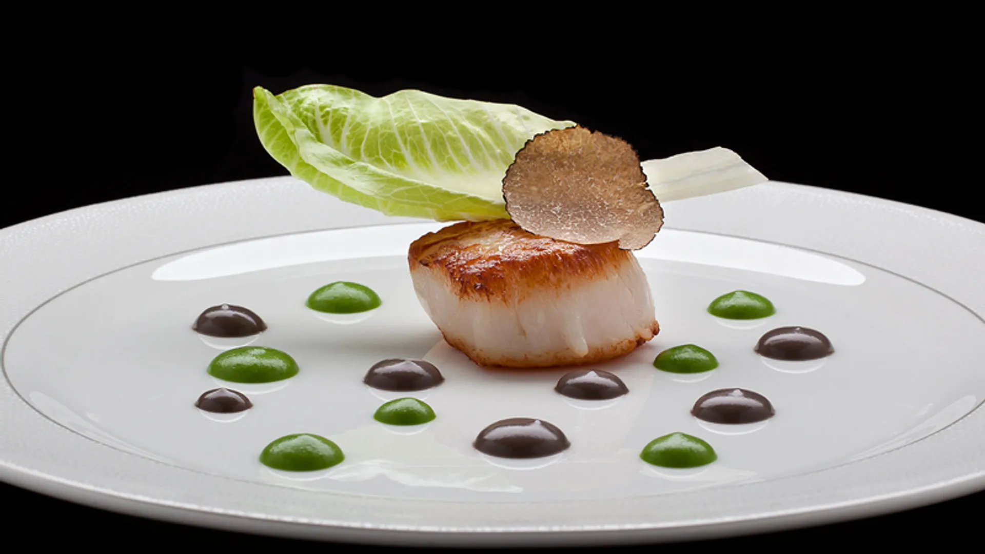 Fine dining scallop — food photography